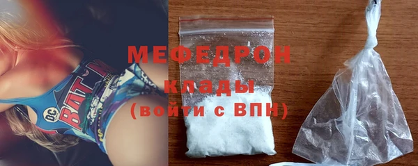 индика Ладушкин