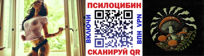 Галлюциногенные грибы Psilocybine cubensis где продают hydra как зайти Поворино